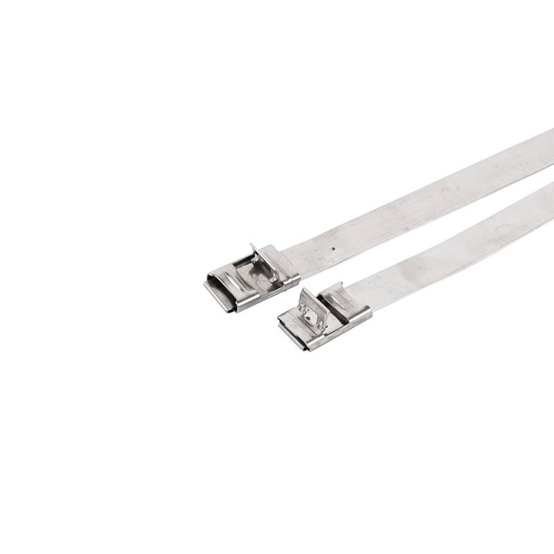 Flip Over Lock Cable Ties